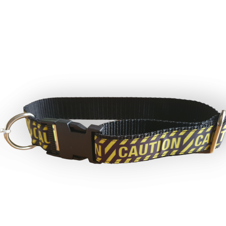 Patterned Collar - D-Ring