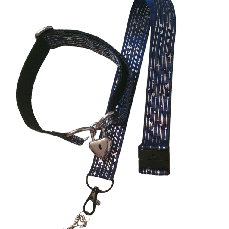 Patterned Collar - Lock & Lanyard